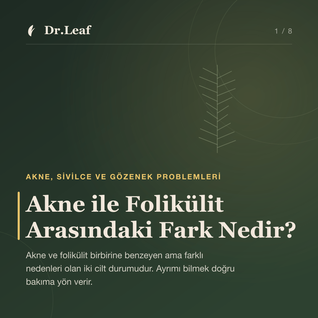 Akne ile Folikülit Arasındaki Fark Nedir? — Dr.Leaf bilgi kartı
