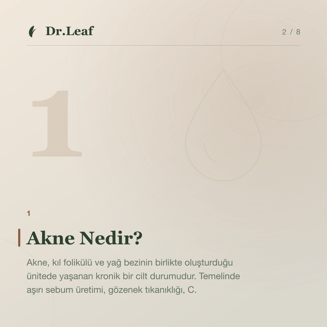Akne ile Folikülit Arasındaki Fark Nedir?: Akne Nedir? — bilgi kartı 2