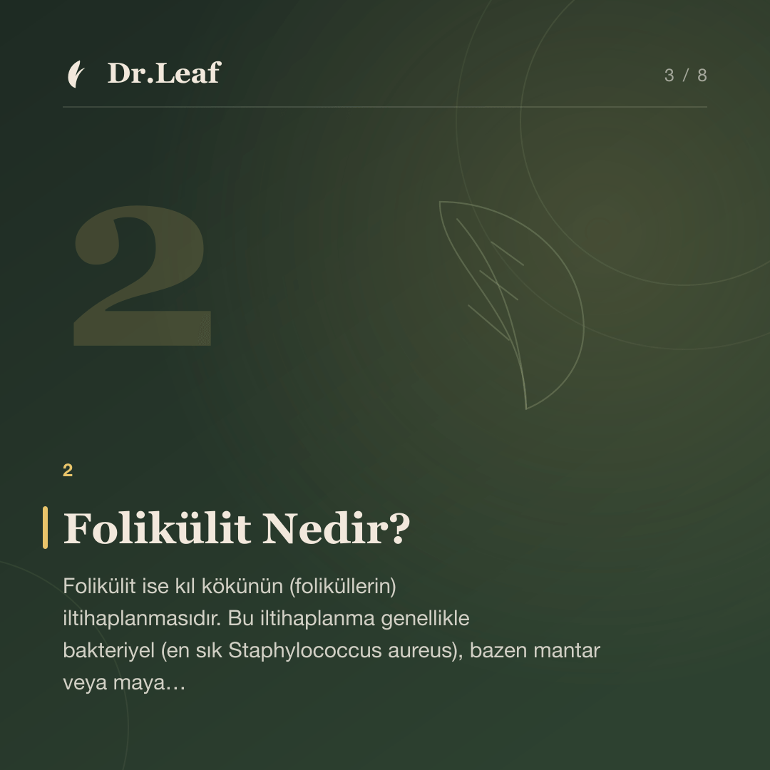 Akne ile Folikülit Arasındaki Fark Nedir?: Folikülit Nedir? — bilgi kartı 3