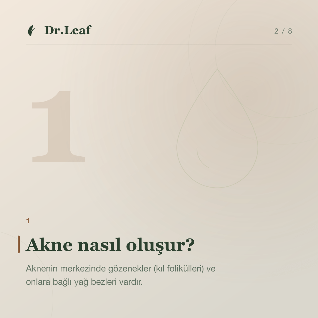 Akne Nedir? Türleri, Belirtileri ve Oluşum Nedenleri: Akne nasıl oluşur? — bilgi kartı 2
