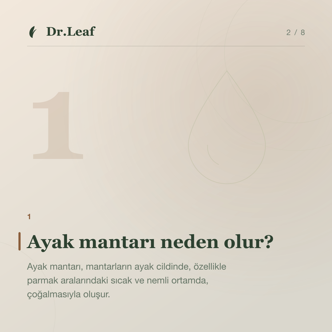 Ayak Mantarı Nedir ve Neden Tekrarlar?: Ayak mantarı neden olur? — bilgi kartı 2