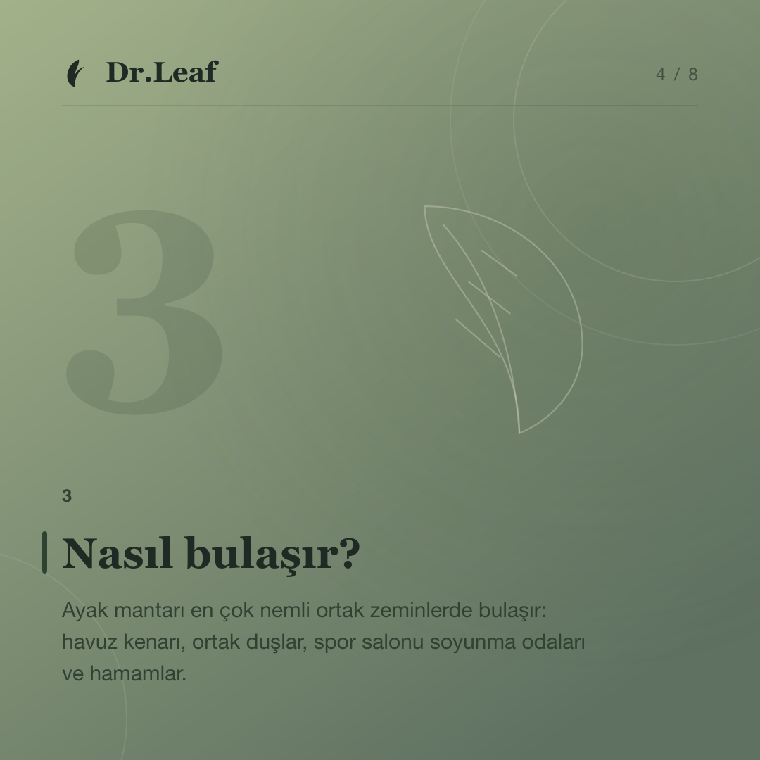 Ayak Mantarı Nedir ve Neden Tekrarlar?: Nasıl bulaşır? — bilgi kartı 4