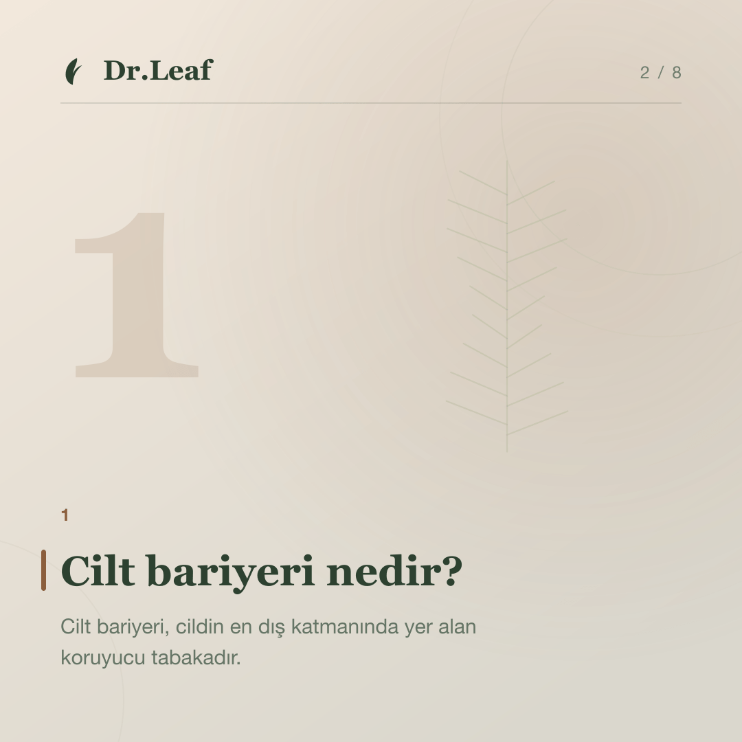 Cilt Bariyeri Nedir ve Nasıl Desteklenir?: Cilt bariyeri nedir? — bilgi kartı 2