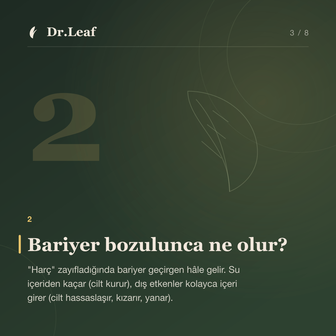 Cilt Bariyeri Nedir ve Nasıl Desteklenir?: Bariyer bozulunca ne olur? — bilgi kartı 3