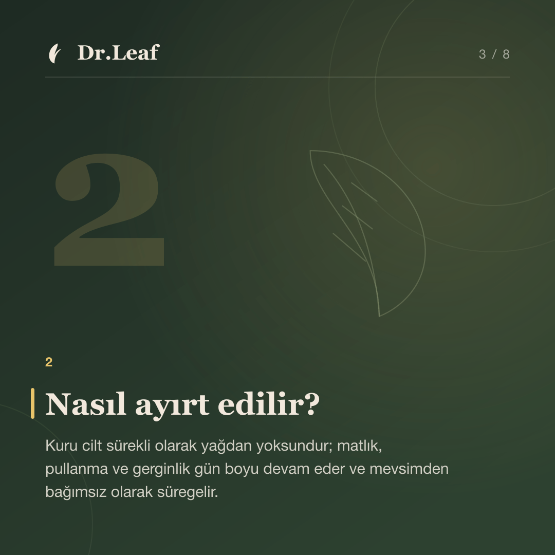 Cilt Kuruluğu Neden Olur? Kuru Cilt ve Nemsiz Cilt Farkı: Nasıl ayırt edilir? — bilgi kartı 3