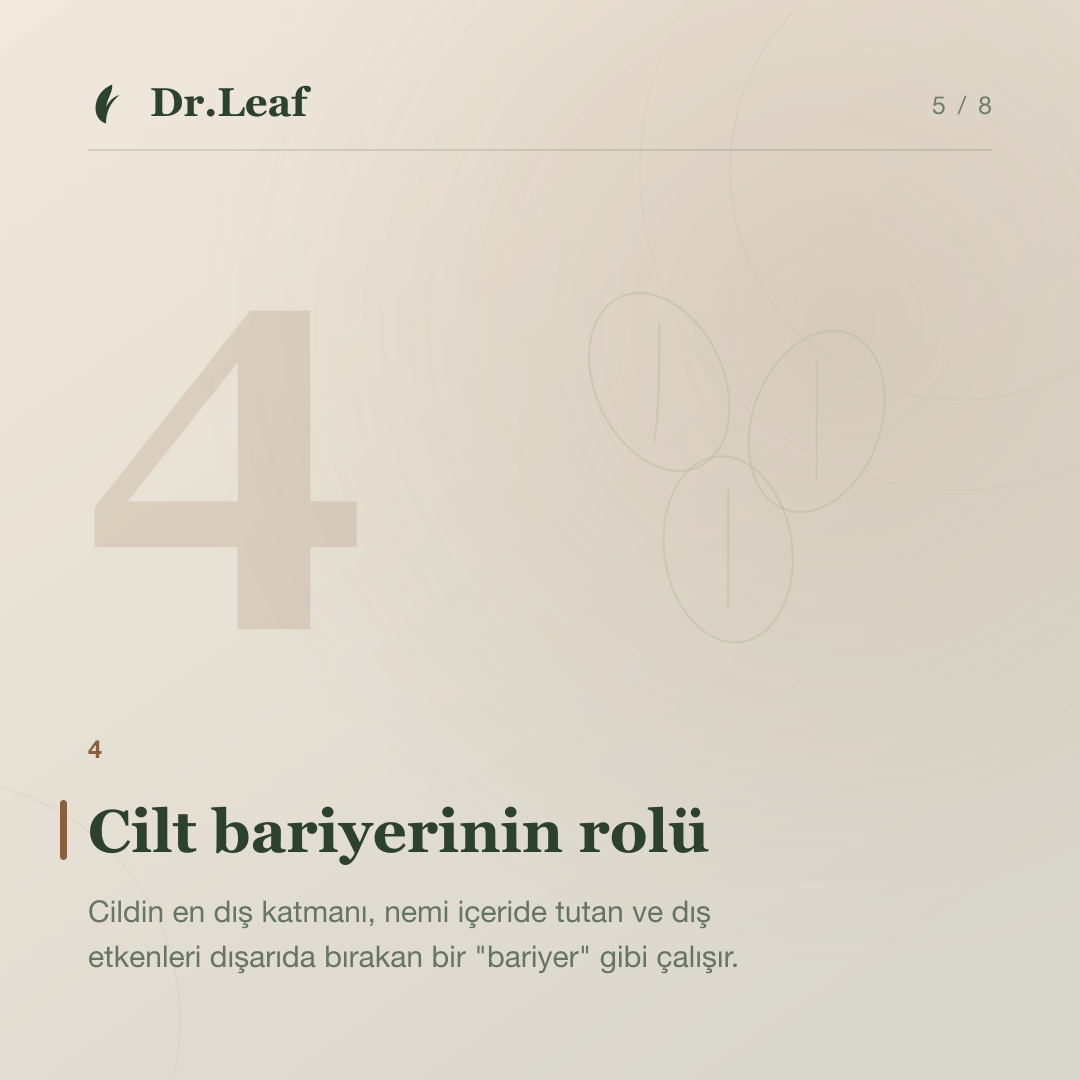 Cilt Kuruluğu Neden Olur? Kuru Cilt ve Nemsiz Cilt Farkı: Cilt bariyerinin rolü — bilgi kartı 5