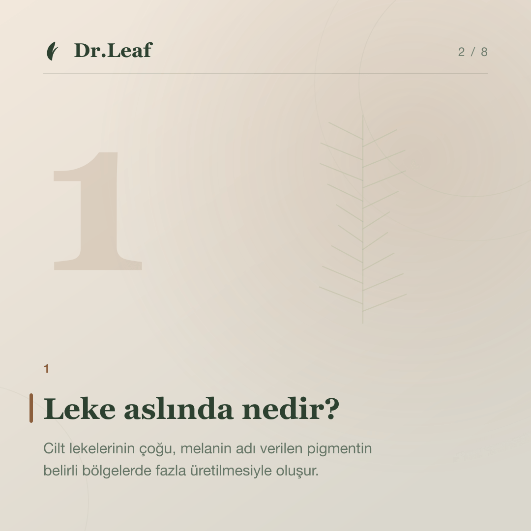 Cilt Lekeleri Neden Oluşur? Leke Türleri ve Korunma Yolları: Leke aslında nedir? — bilgi kartı 2