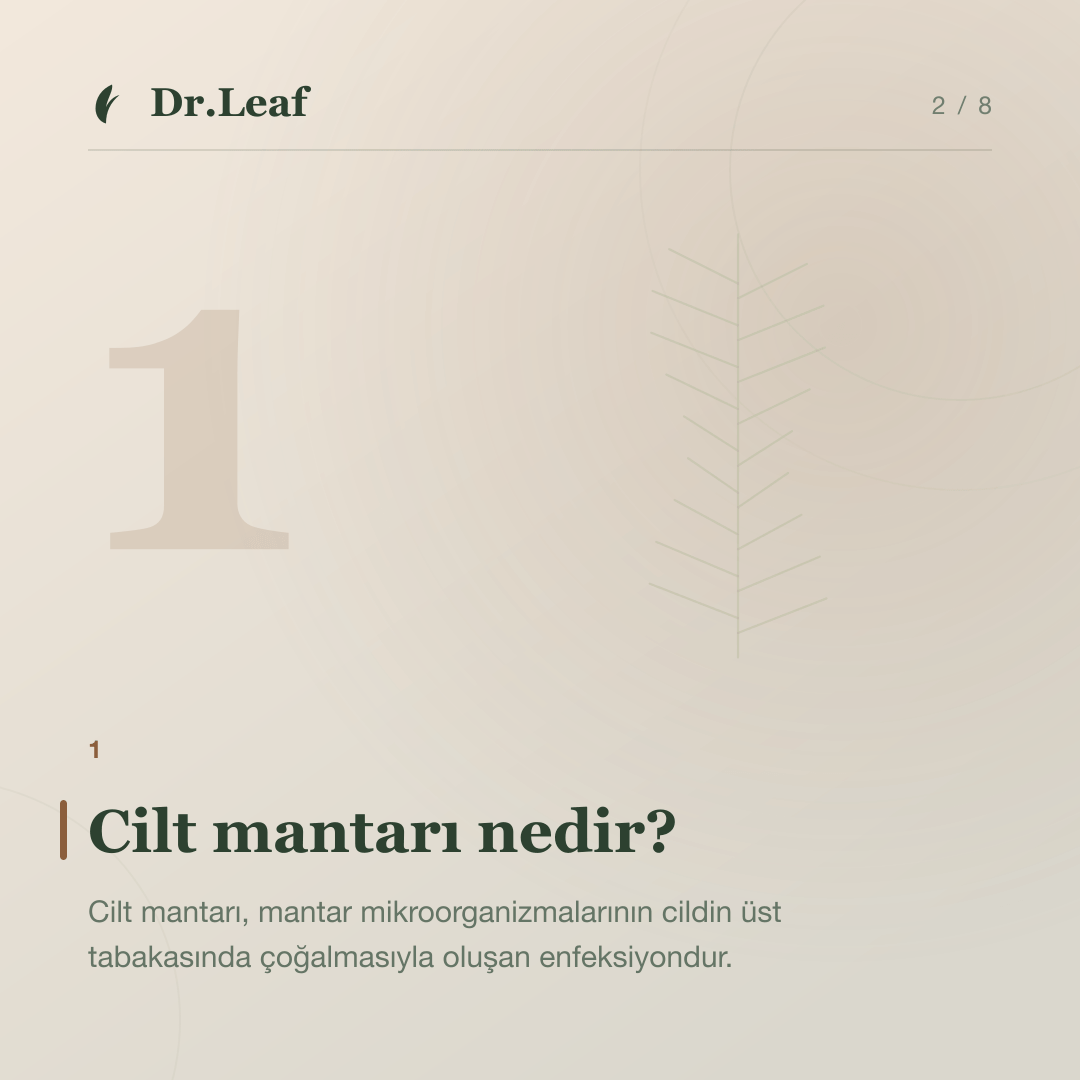 Cilt Mantarı Nedir ve Nasıl Anlaşılır?: Cilt mantarı nedir? — bilgi kartı 2