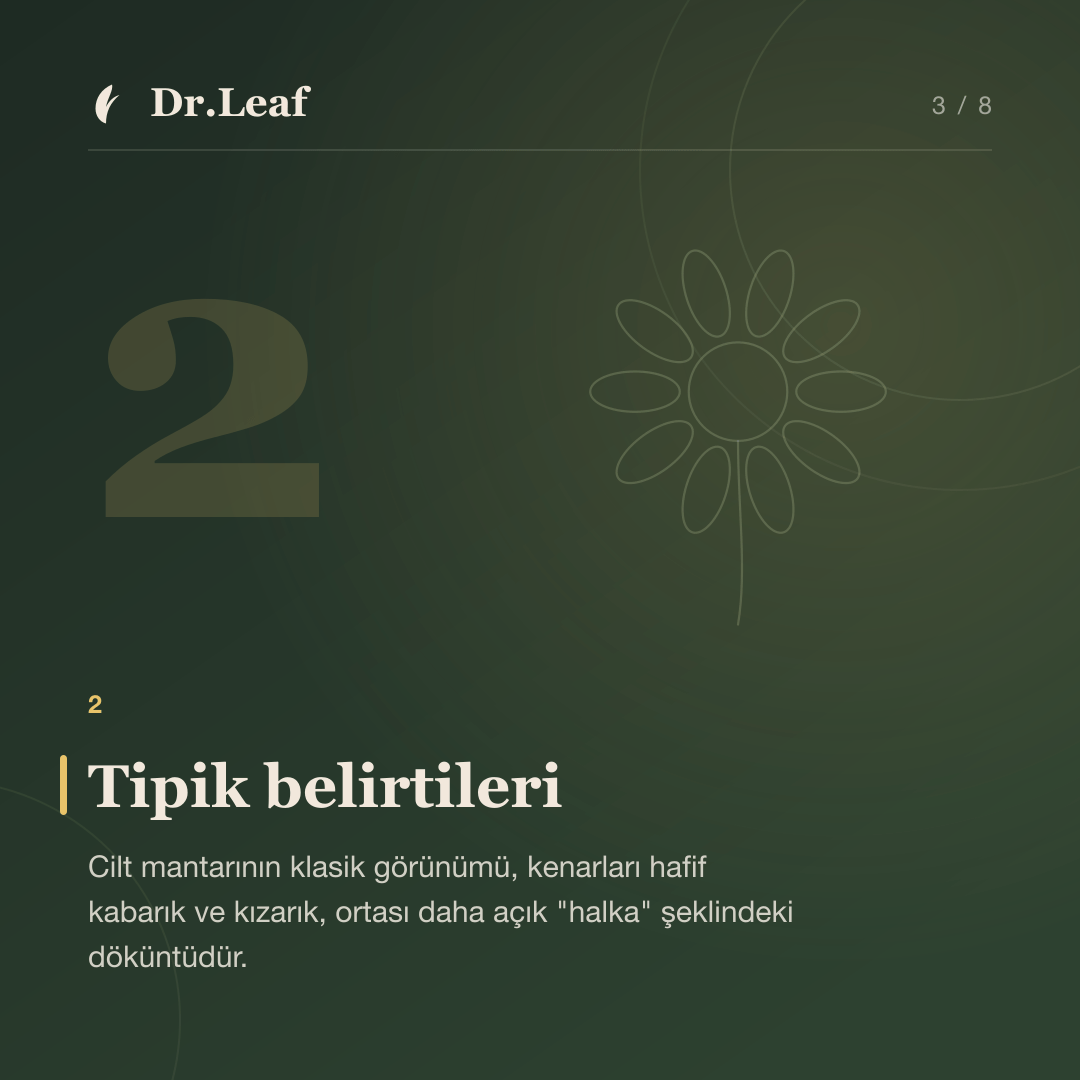 Cilt Mantarı Nedir ve Nasıl Anlaşılır?: Tipik belirtileri — bilgi kartı 3