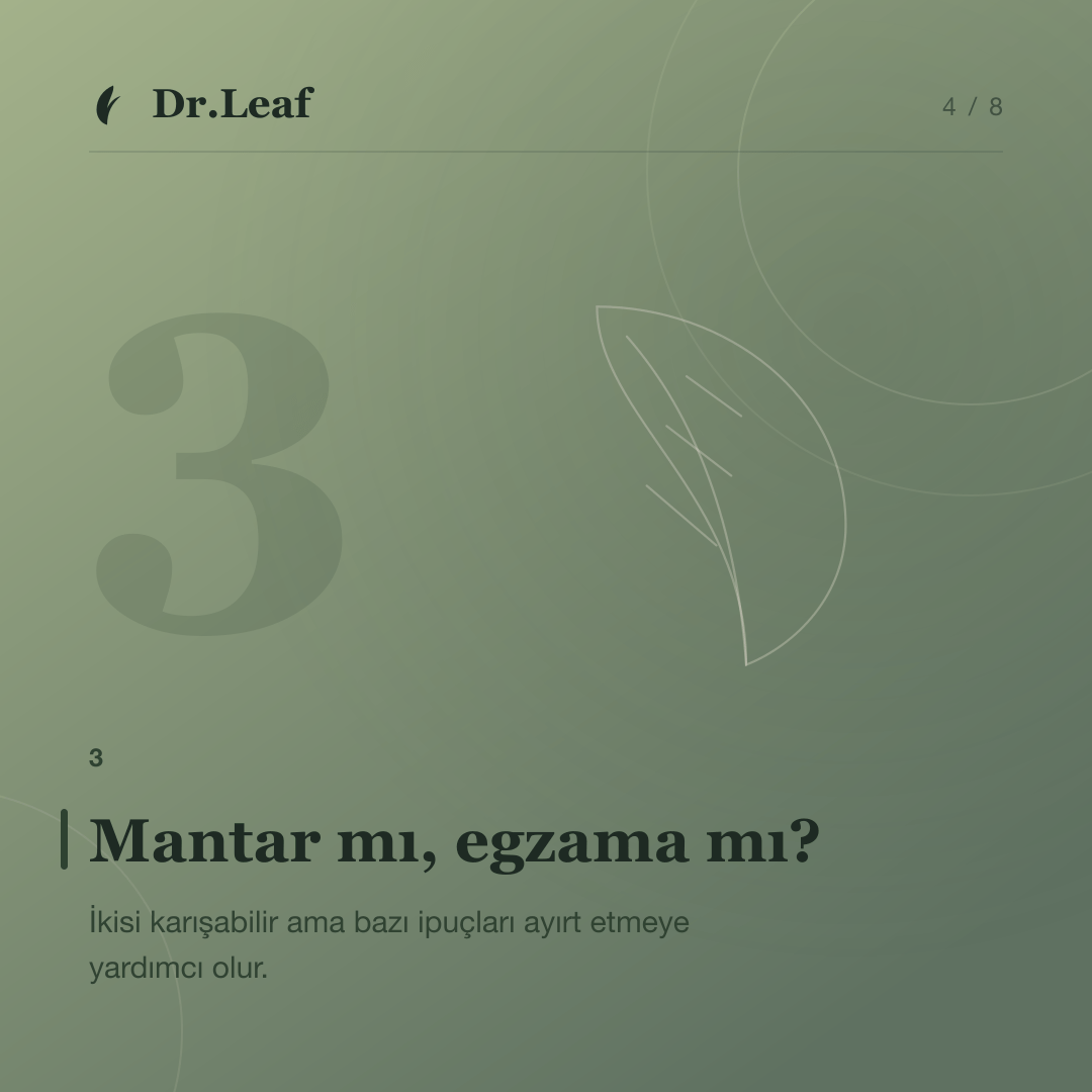 Cilt Mantarı Nedir ve Nasıl Anlaşılır?: Mantar mı, egzama mı? — bilgi kartı 4