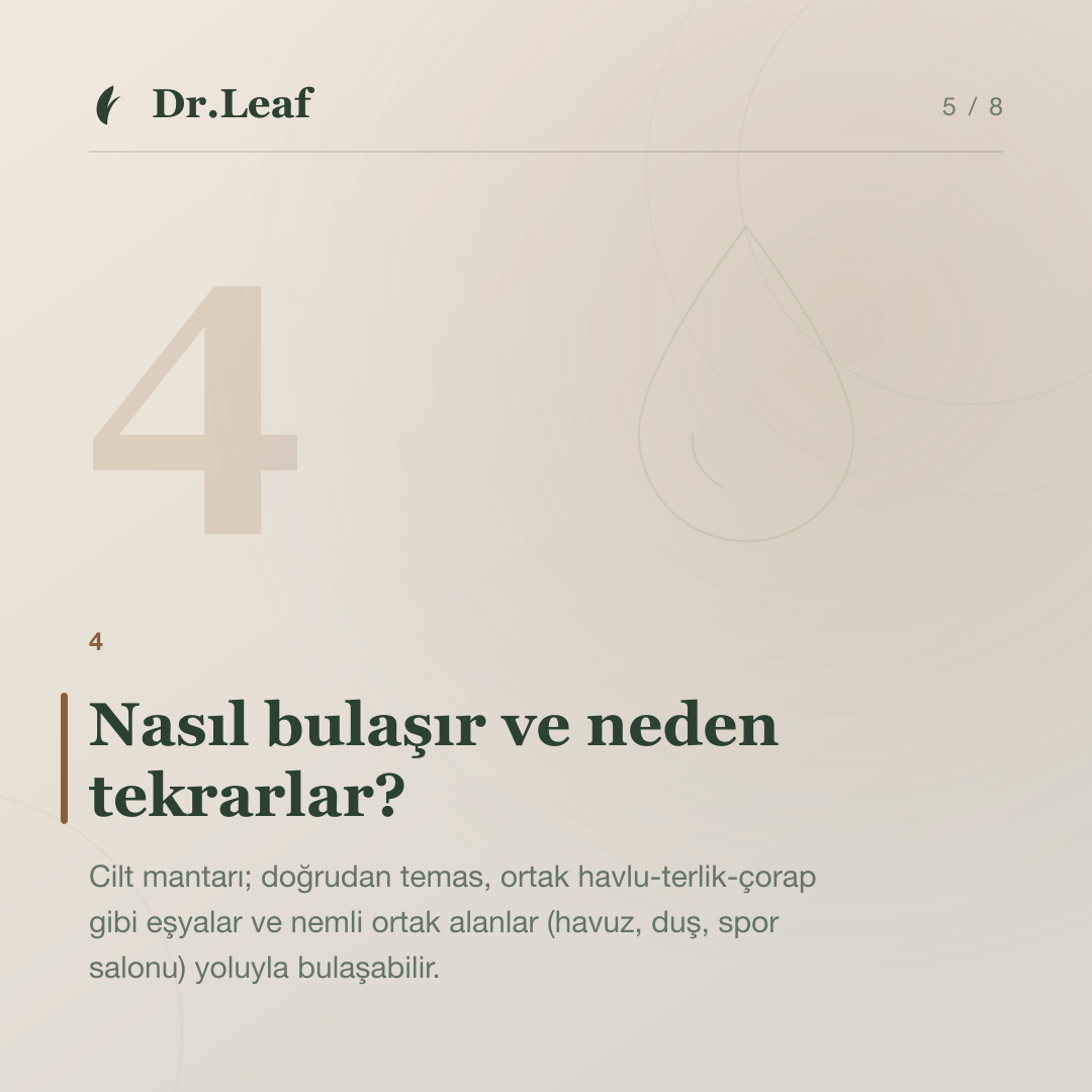Cilt Mantarı Nedir ve Nasıl Anlaşılır?: Nasıl bulaşır ve neden tekrarlar? — bilgi kartı 5