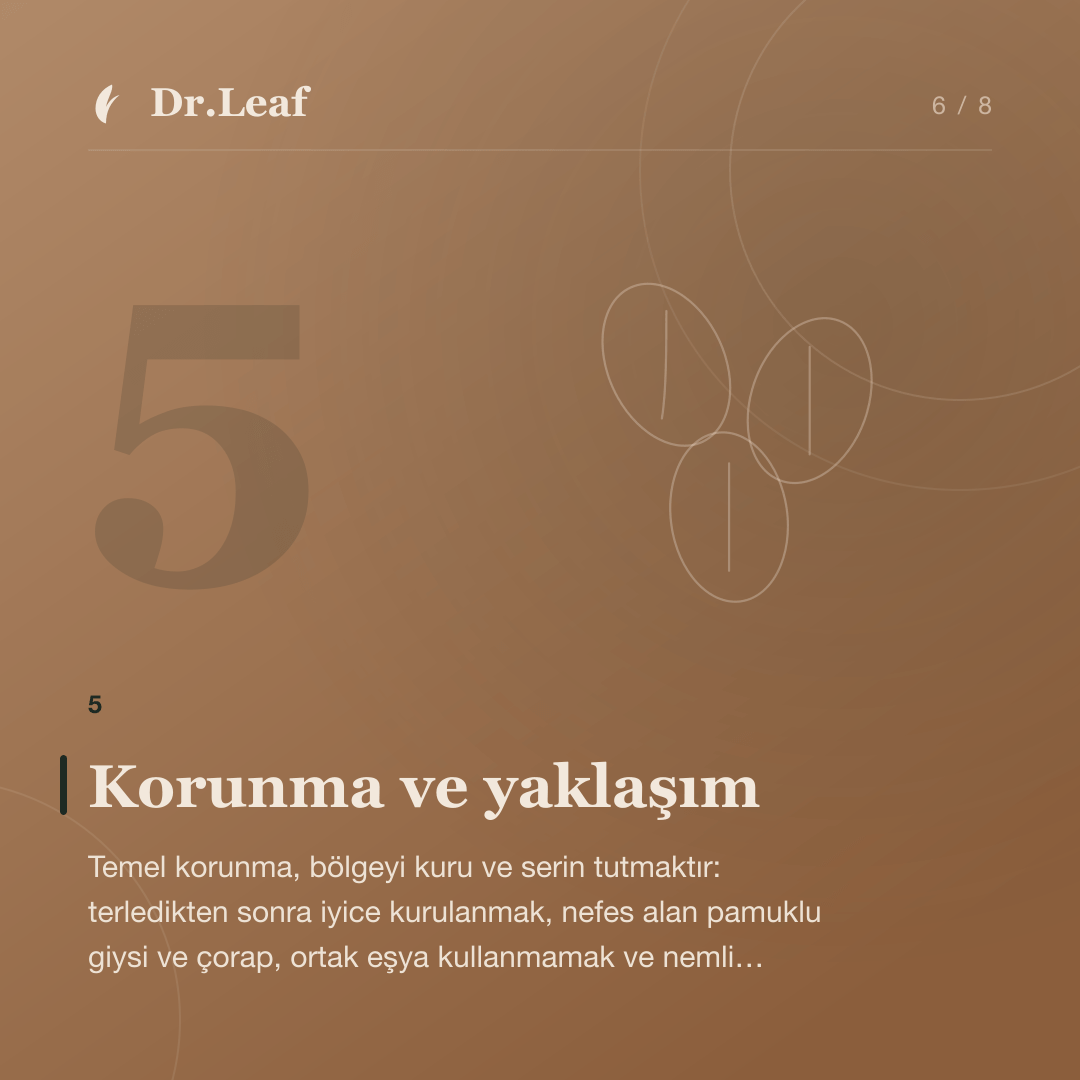Cilt Mantarı Nedir ve Nasıl Anlaşılır?: Korunma ve yaklaşım — bilgi kartı 6