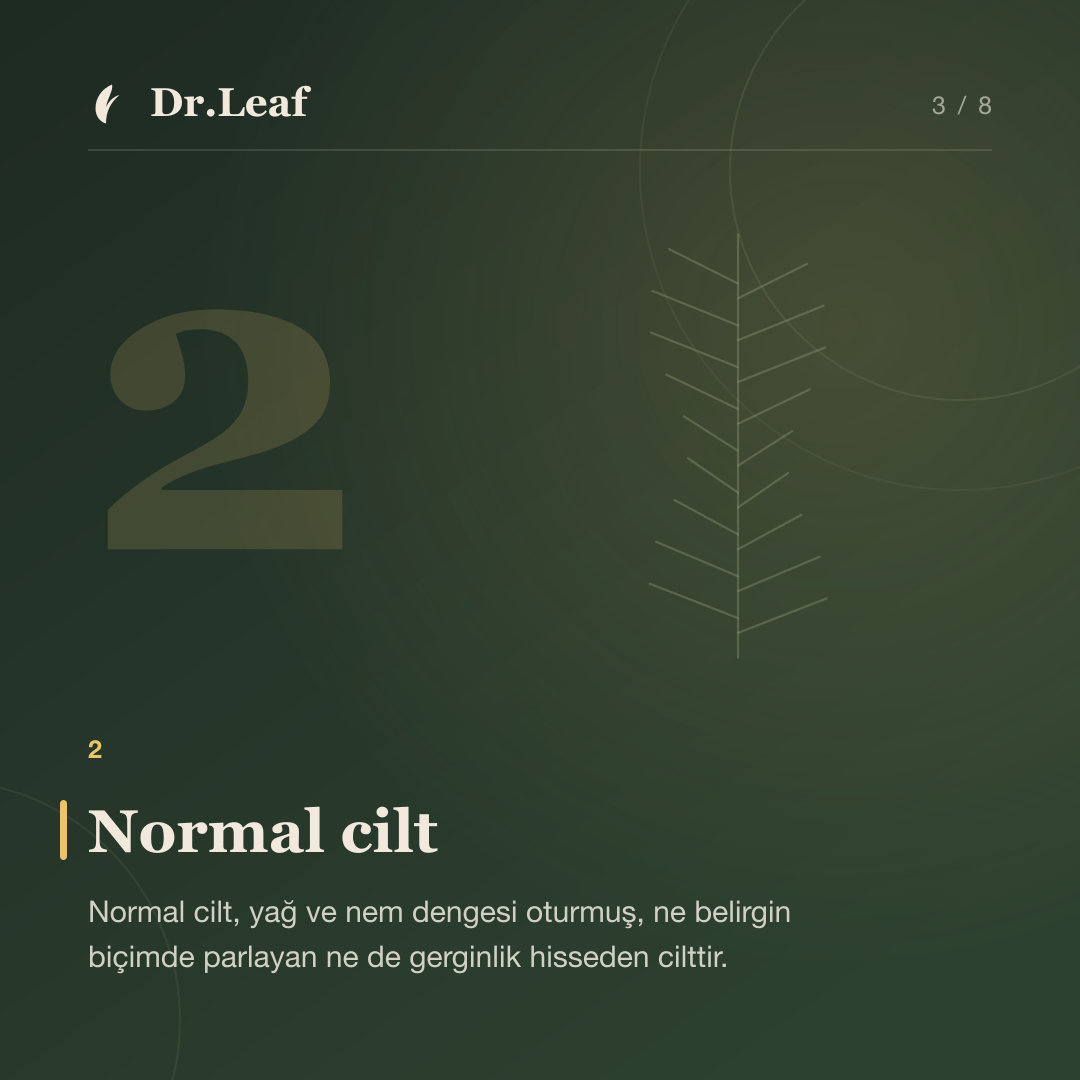 Cilt Tipleri Nelerdir? Cilt Tipinizi Doğru Belirleme Rehberi: Normal cilt — bilgi kartı 3