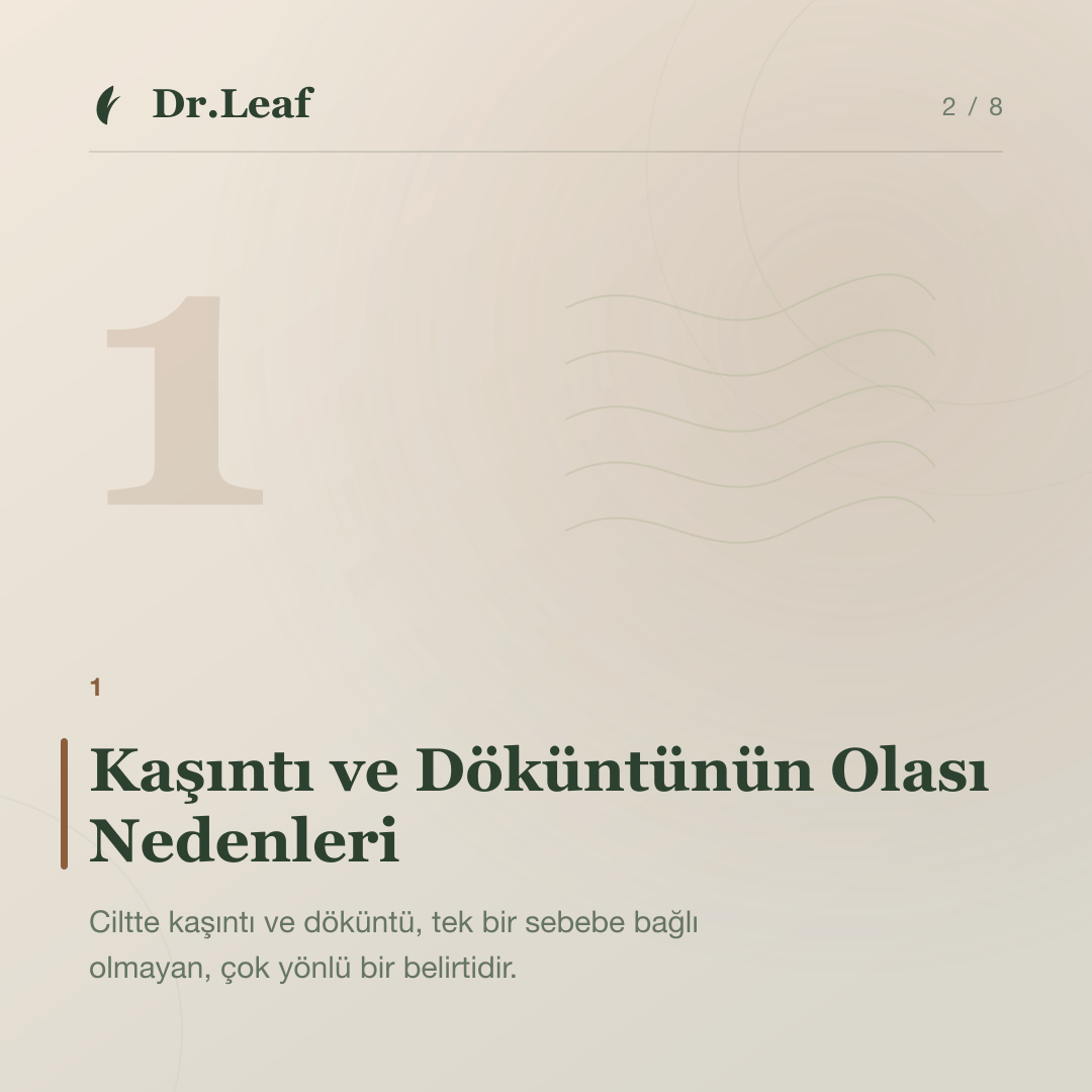 Ciltte Kaşıntı ve Döküntü Neden Oluşur?: Kaşıntı ve Döküntünün Olası Nedenleri — bilgi kartı 2