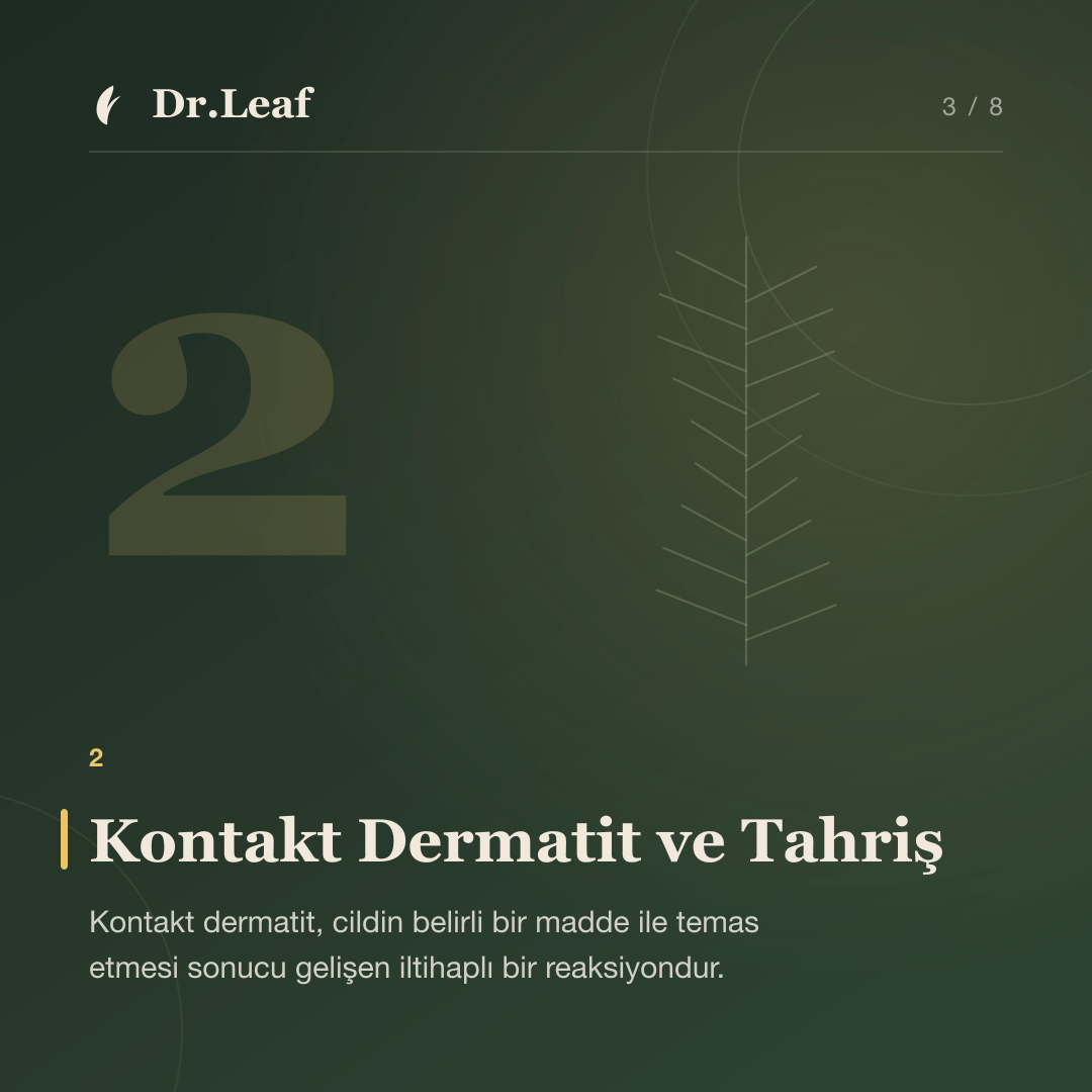 Ciltte Kaşıntı ve Döküntü Neden Oluşur?: Kontakt Dermatit ve Tahriş — bilgi kartı 3