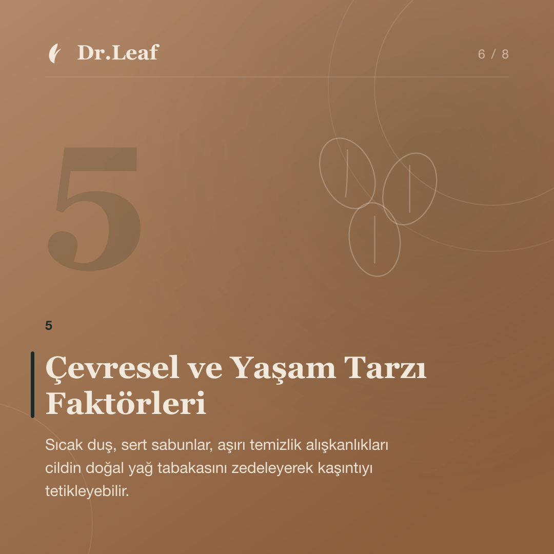 Ciltte Kaşıntı ve Döküntü Neden Oluşur?: Çevresel ve Yaşam Tarzı Faktörleri — bilgi kartı 6
