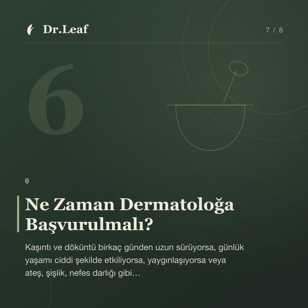 Ciltte Kaşıntı ve Döküntü Neden Oluşur?: Ne Zaman Dermatoloğa Başvurulmalı? — bilgi kartı 7