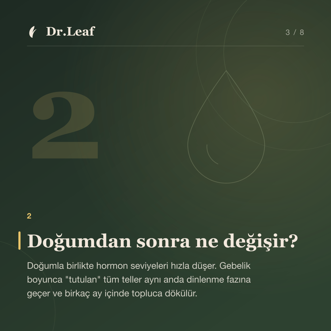 Doğum Sonrası Saç Dökülmesi Neden Olur ve Ne Kadar Sürer?: Doğumdan sonra ne değişir? — bilgi kartı 3