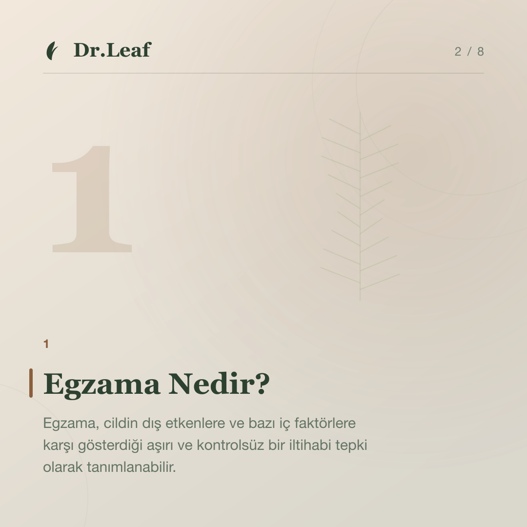 Egzama Nedir? Türleri, Belirtileri ve Nedenleri: Egzama Nedir? — bilgi kartı 2
