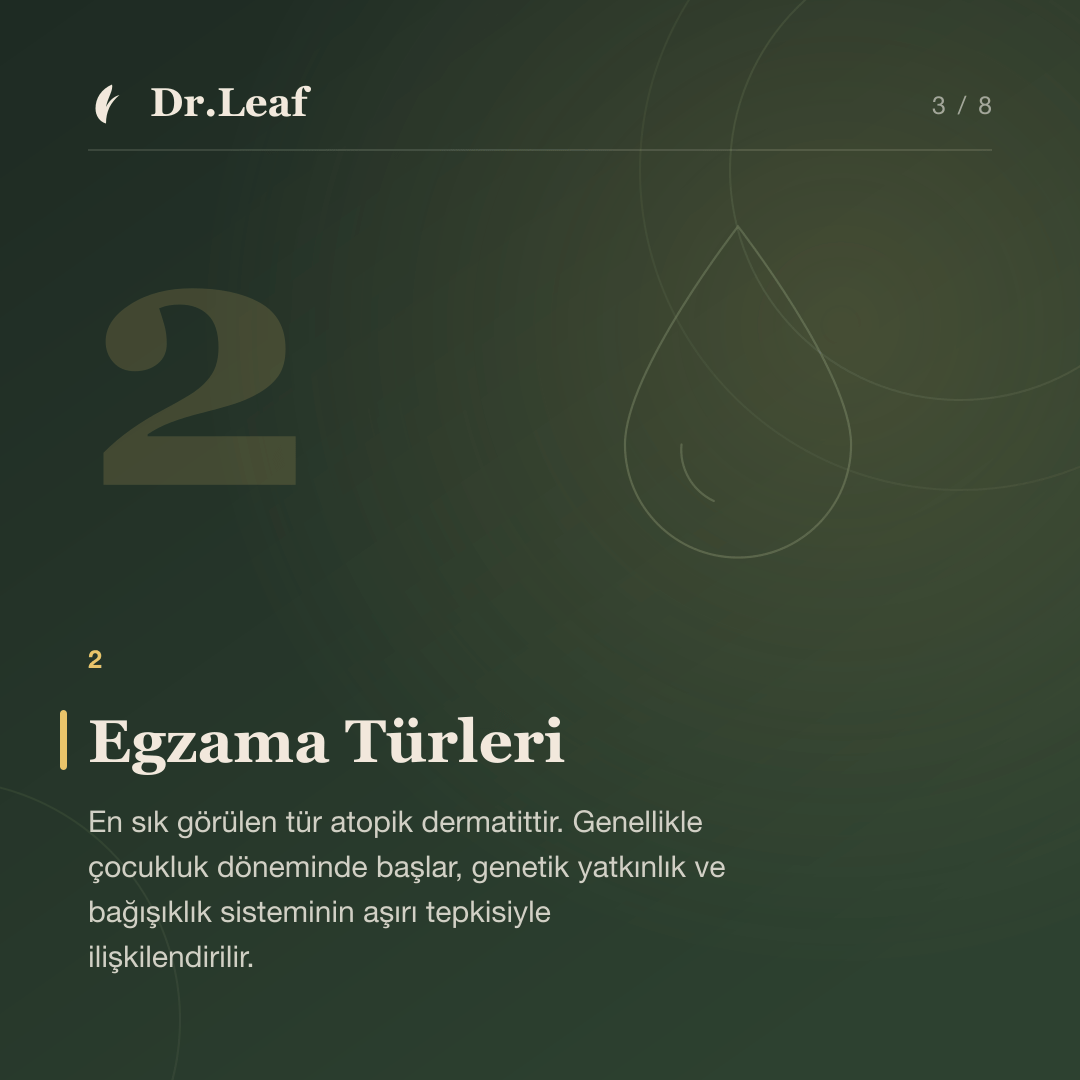 Egzama Nedir? Türleri, Belirtileri ve Nedenleri: Egzama Türleri — bilgi kartı 3