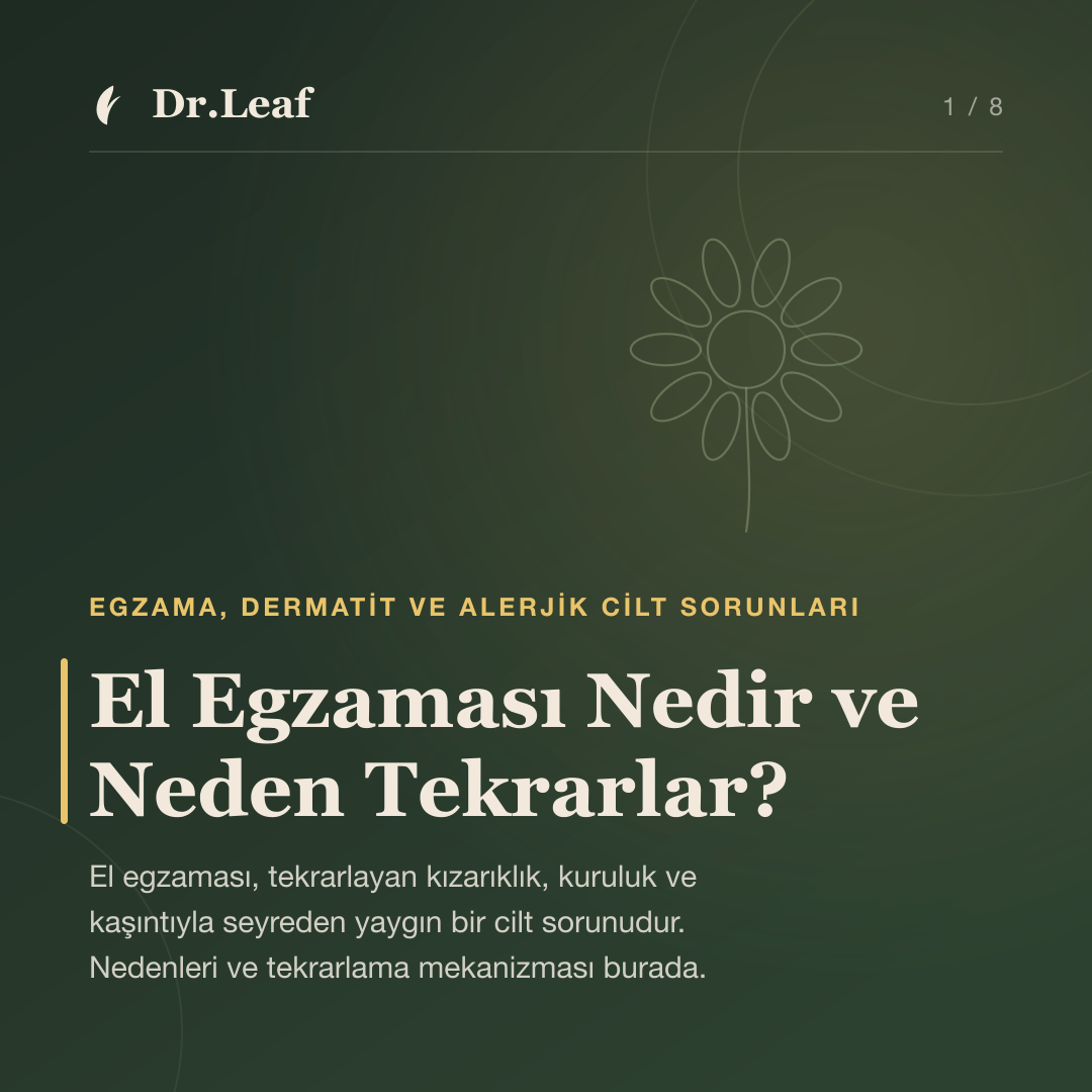 El Egzaması Nedir ve Neden Tekrarlar? — Dr.Leaf bilgi kartı
