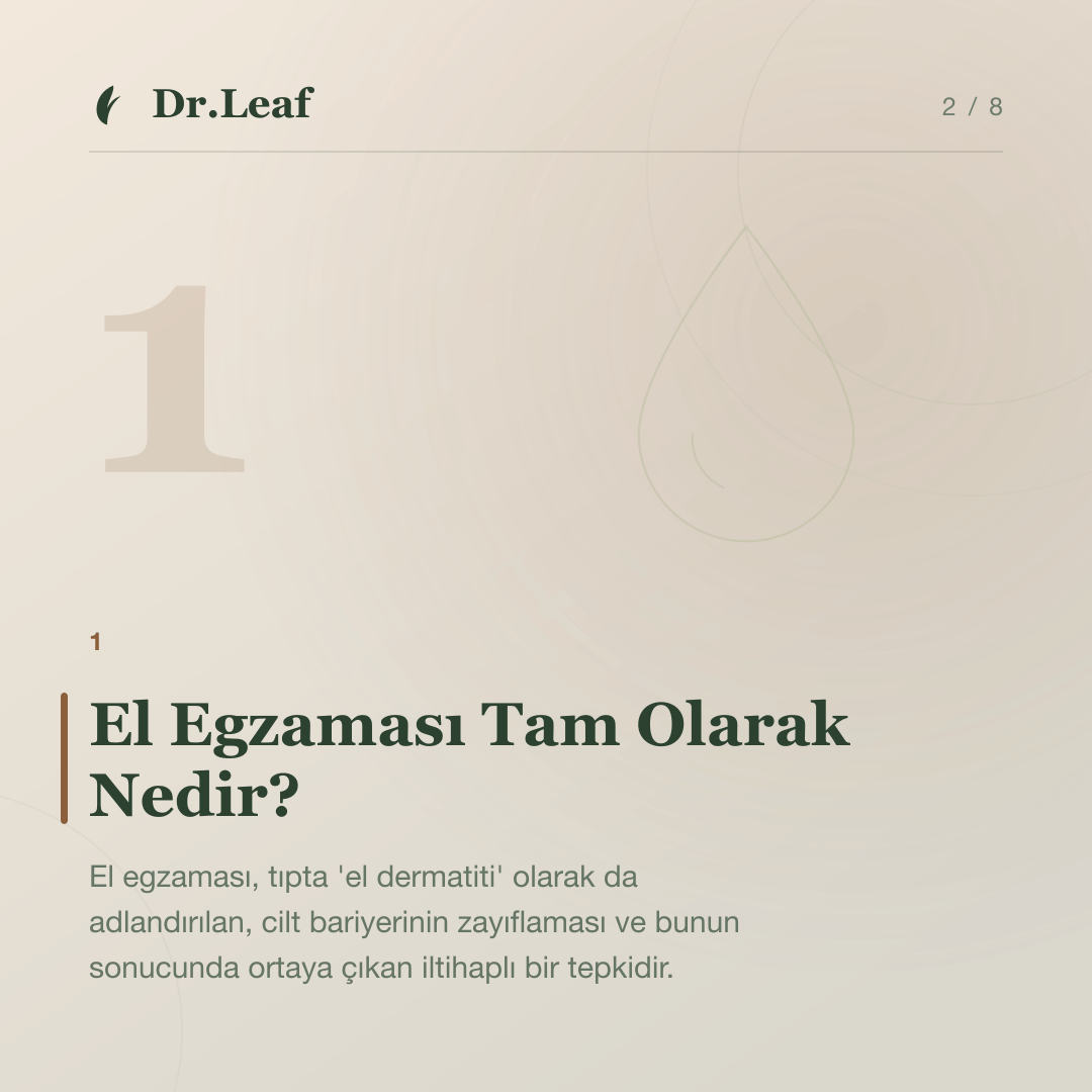 El Egzaması Nedir ve Neden Tekrarlar?: El Egzaması Tam Olarak Nedir? — bilgi kartı 2
