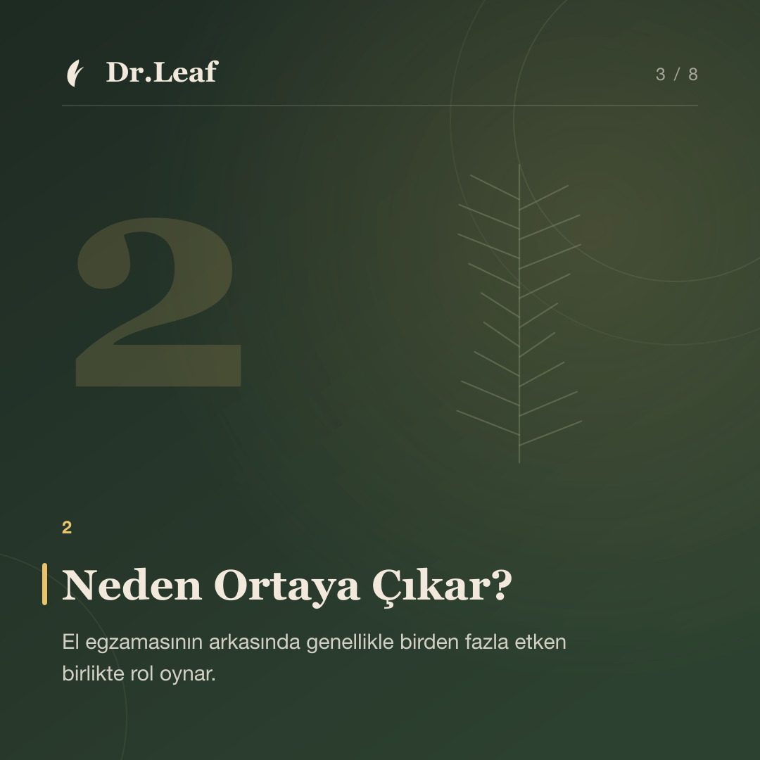 El Egzaması Nedir ve Neden Tekrarlar?: Neden Ortaya Çıkar? — bilgi kartı 3