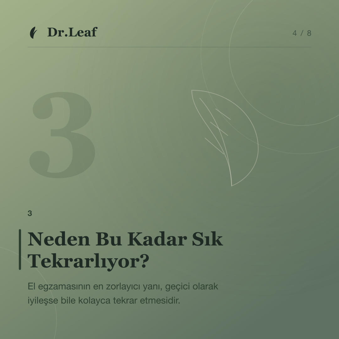 El Egzaması Nedir ve Neden Tekrarlar?: Neden Bu Kadar Sık Tekrarlıyor? — bilgi kartı 4