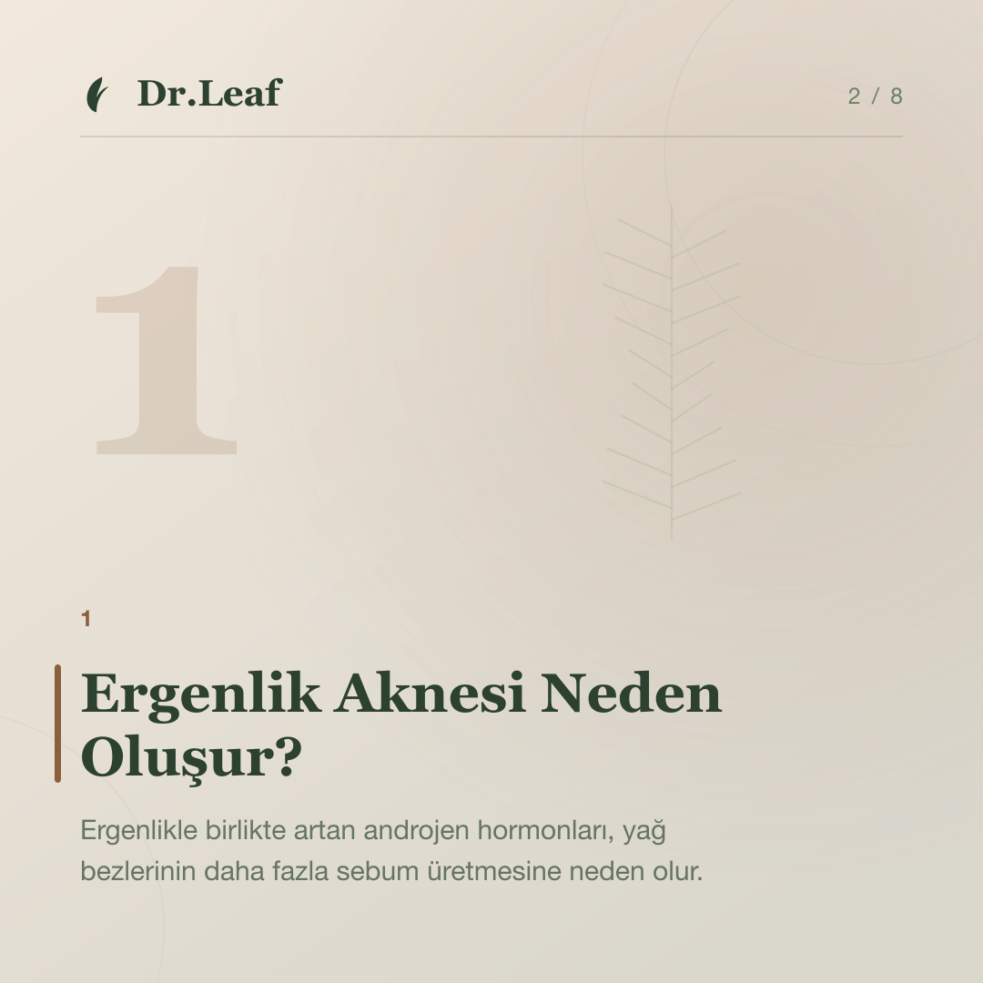 Ergenlik Döneminde Akne ve Doğru Cilt Bakımı: Ergenlik Aknesi Neden Oluşur? — bilgi kartı 2