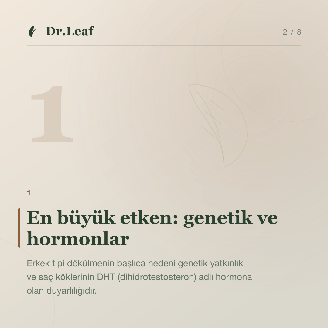 Erkeklerde Saç Dökülmesi Neden Olur?: En büyük etken: genetik ve hormonlar — bilgi kartı 2
