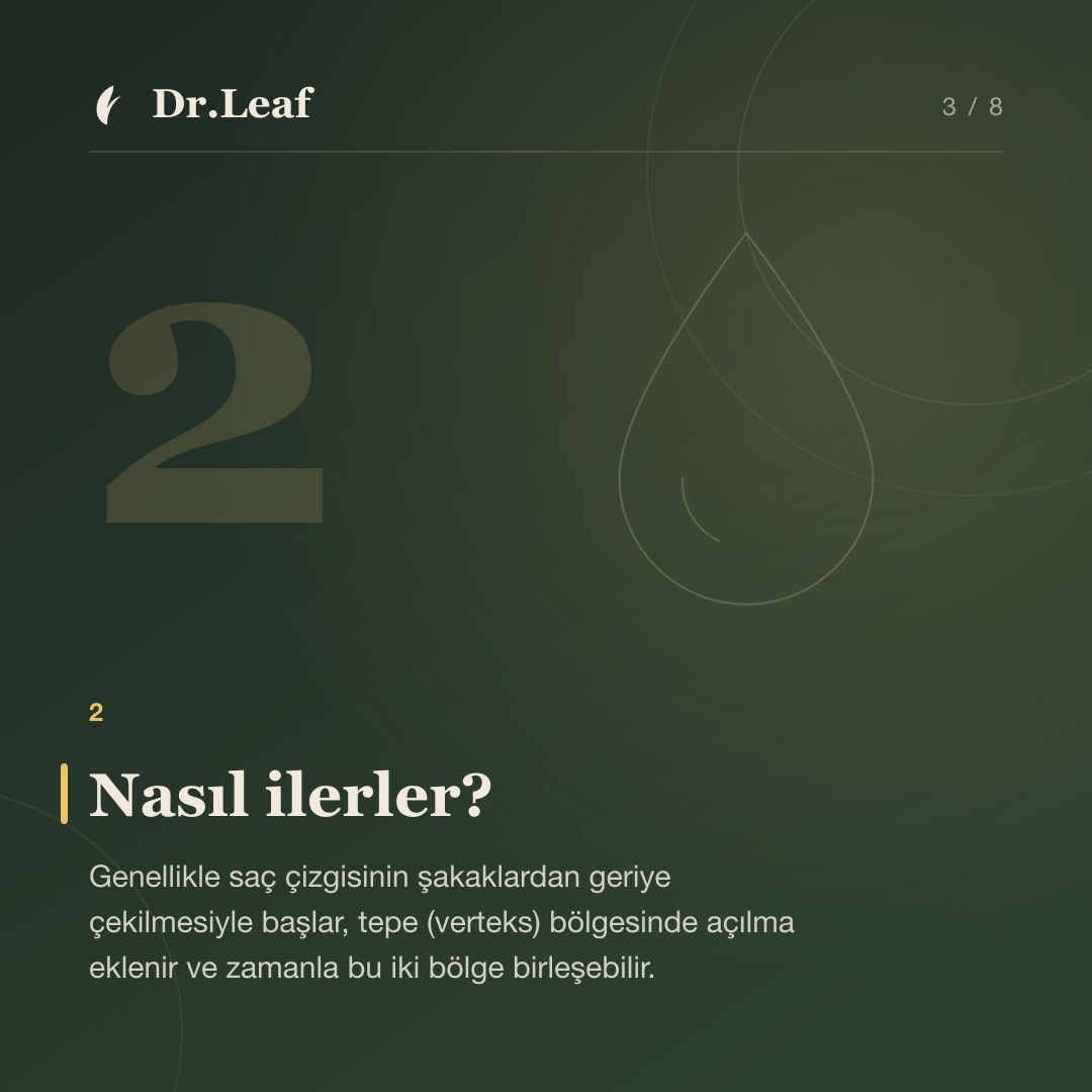 Erkeklerde Saç Dökülmesi Neden Olur?: Nasıl ilerler? — bilgi kartı 3