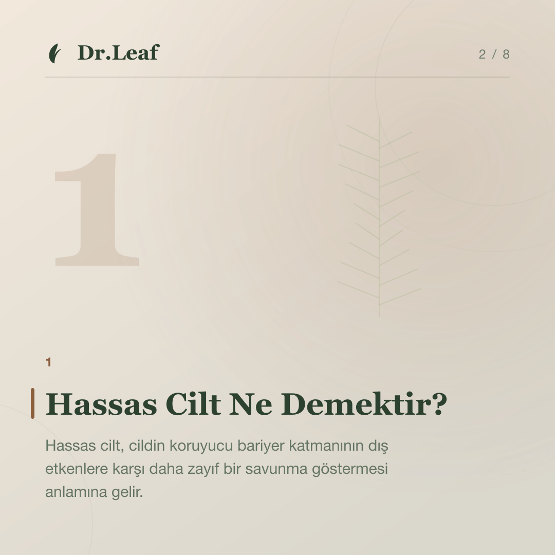 Hassas Cilt Nedir ve Nasıl Anlaşılır?: Hassas Cilt Ne Demektir? — bilgi kartı 2
