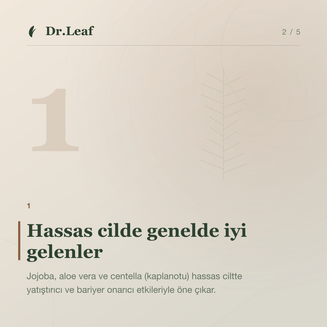 Hassas ciltte doğal yağlar: ne işe yarar, ne yaramaz: Hassas cilde genelde iyi gelenler — bilgi kartı 2