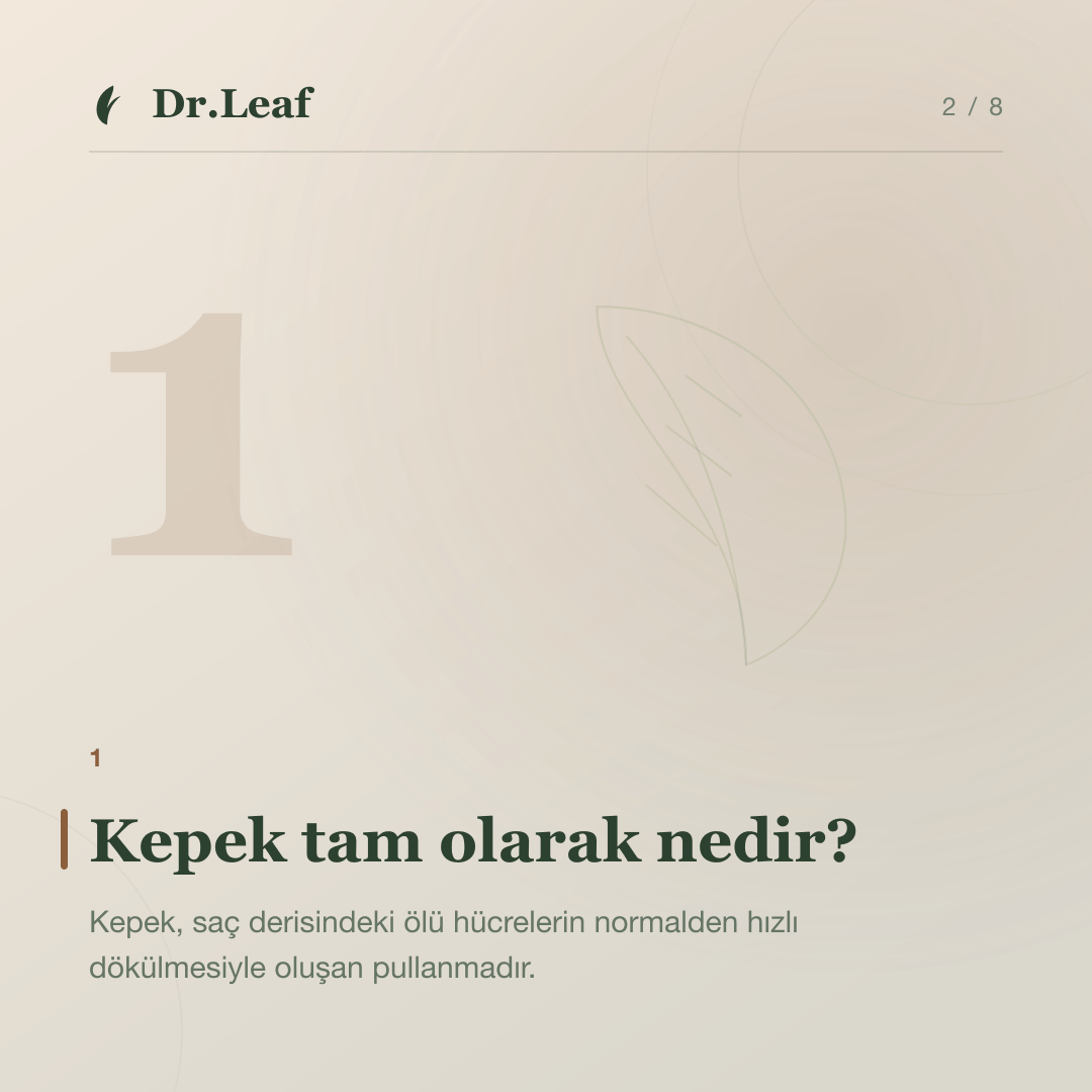 Kepek Nedir ve Neden Oluşur? Kuru ve Yağlı Kepek Farkı: Kepek tam olarak nedir? — bilgi kartı 2