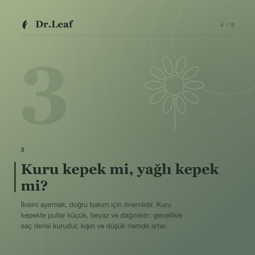 Kepek Nedir ve Neden Oluşur? Kuru ve Yağlı Kepek Farkı: Kuru kepek mi, yağlı kepek mi? — bilgi kartı 4