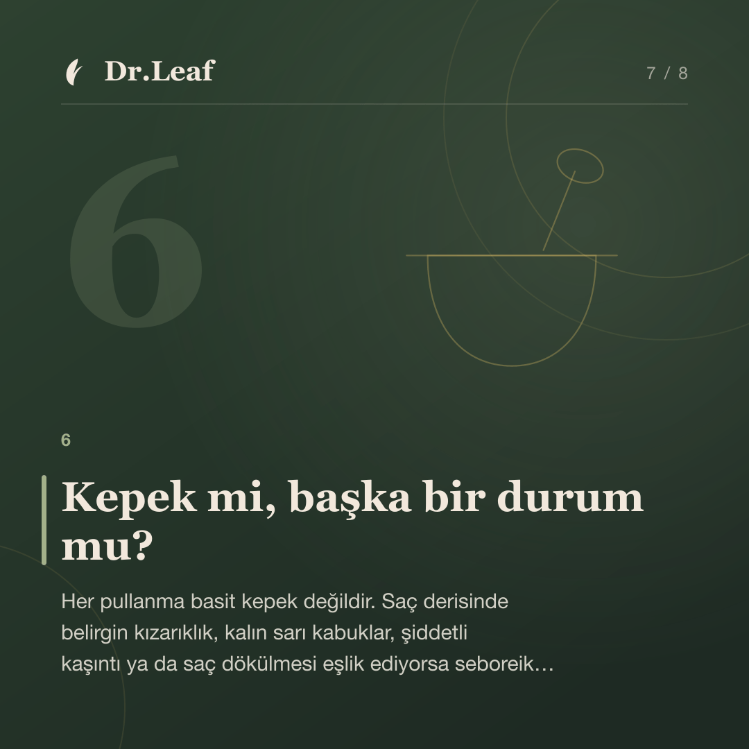 Kepek Nedir ve Neden Oluşur? Kuru ve Yağlı Kepek Farkı: Kepek mi, başka bir durum mu? — bilgi kartı 7