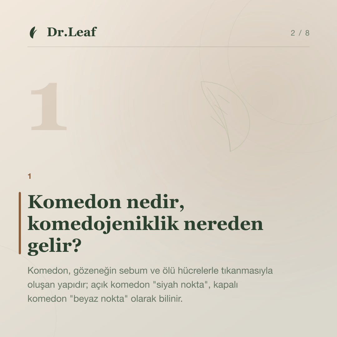 Komedojenik Ne Demektir? Gözenekleri Tıkayan Ürünler Nasıl Anlaşılır?: Komedon nedir, komedojeniklik nereden gelir? — bilgi kartı 2