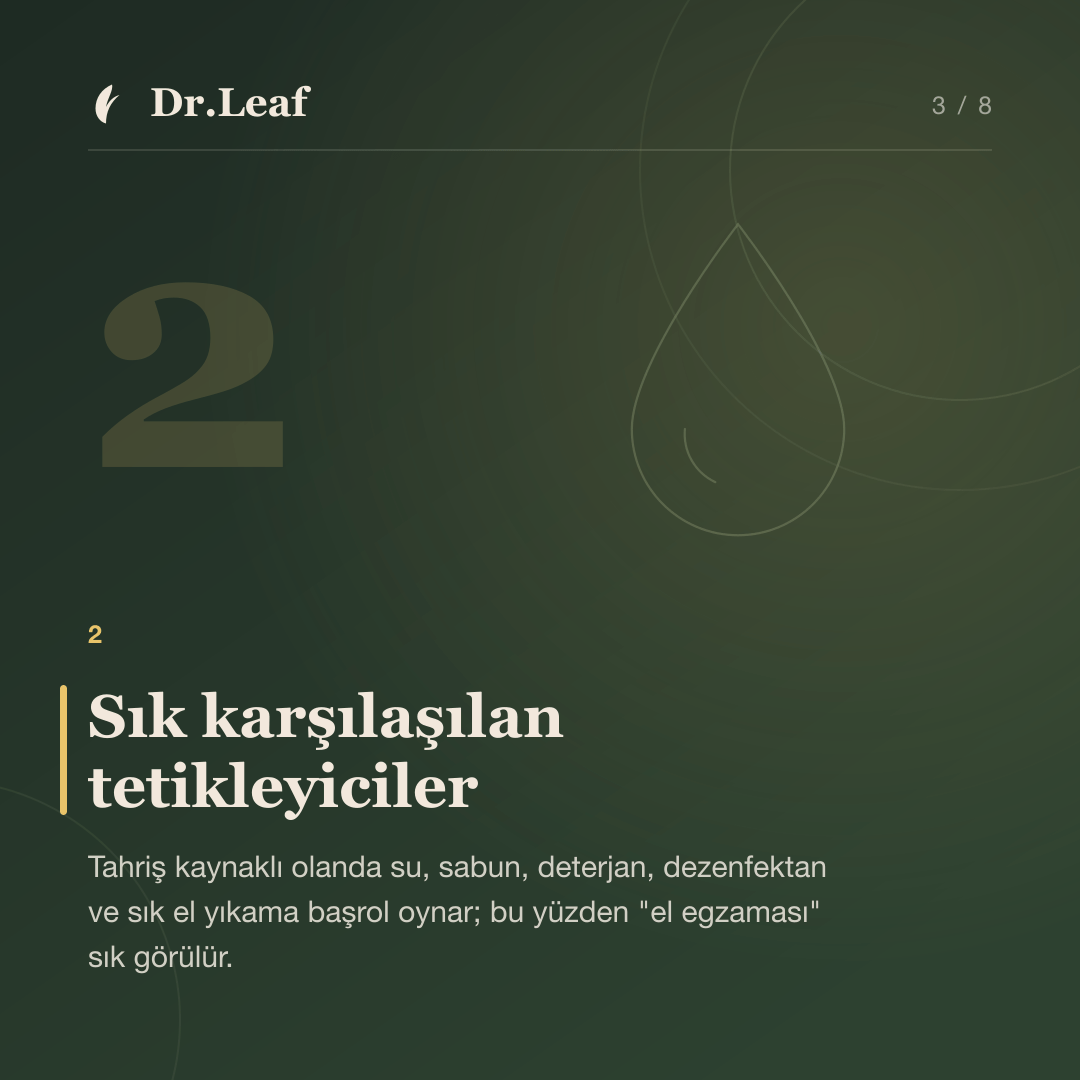 Kontakt Dermatit Nedir ve Neden Oluşur?: Sık karşılaşılan tetikleyiciler — bilgi kartı 3