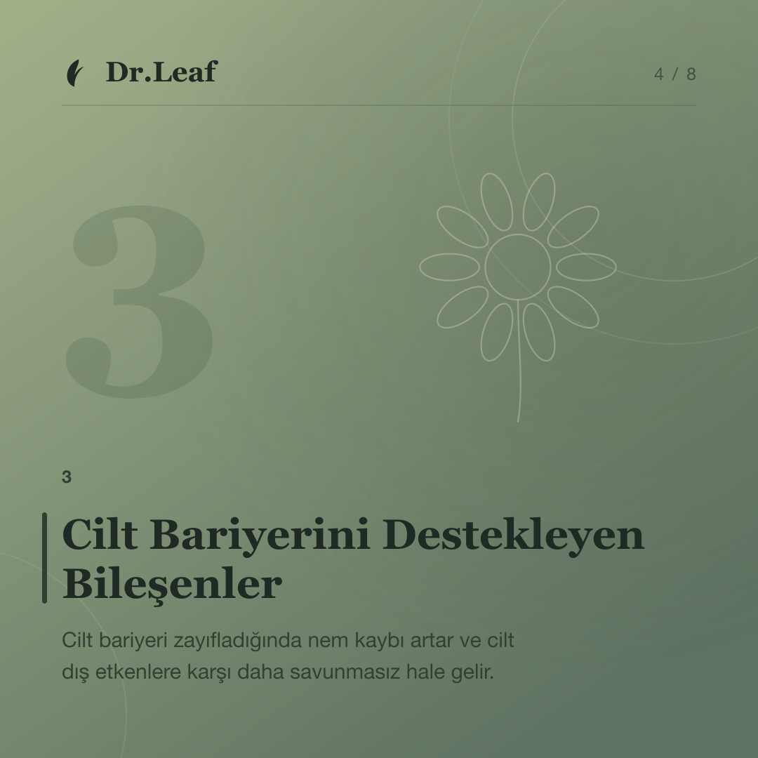 Nemlendirici Seçerken Nelere Dikkat Edilmelidir?: Cilt Bariyerini Destekleyen Bileşenler — bilgi kartı 4