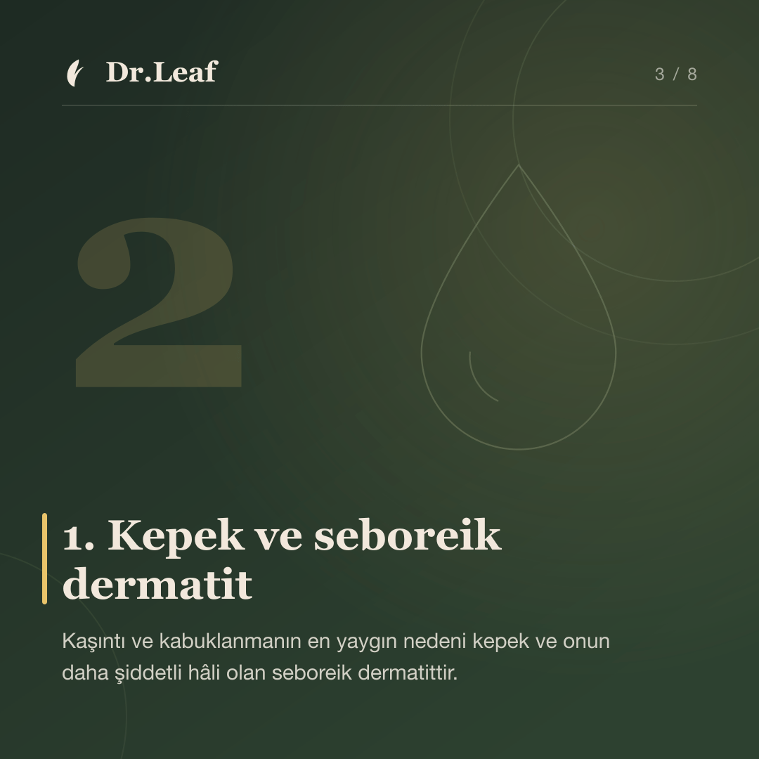 Saç Derisinde Kaşıntı, Kızarıklık ve Kabuklanma Neden Olur?: 1. Kepek ve seboreik dermatit — bilgi kartı 3