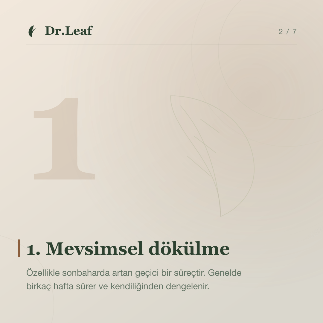 Saç dökülmesinin 5 yaygın nedeni: 1. Mevsimsel dökülme — bilgi kartı 2