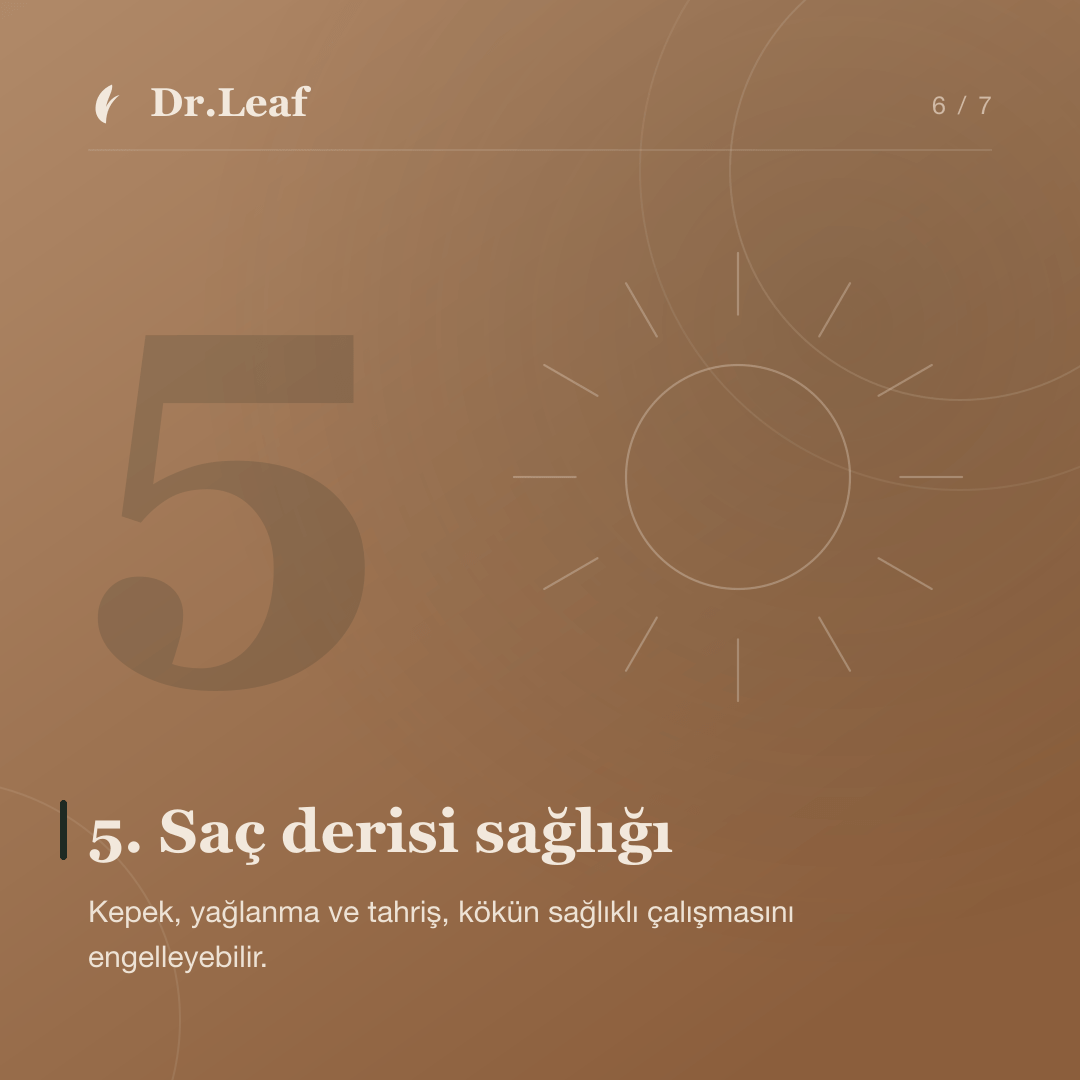 Saç dökülmesinin 5 yaygın nedeni: 5. Saç derisi sağlığı — bilgi kartı 6