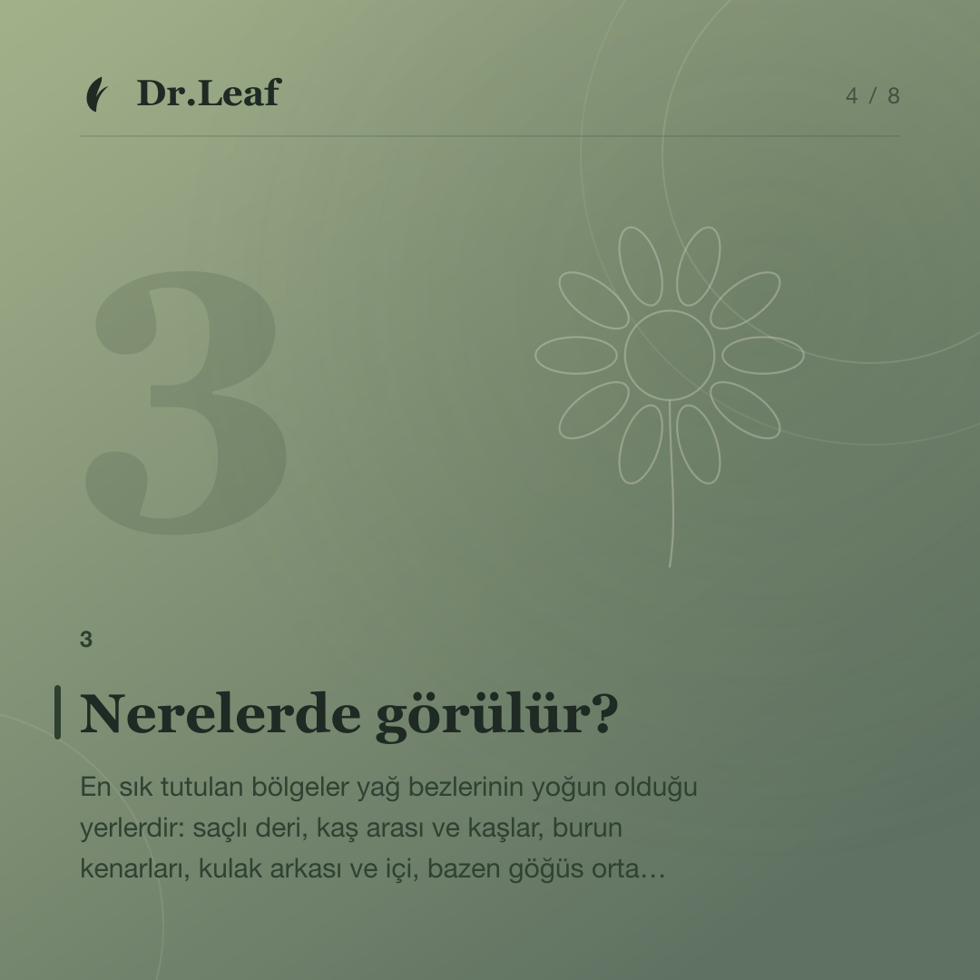 Seboreik Dermatit Nedir? Yüz ve Saçlı Deride Kızarıklık: Nerelerde görülür? — bilgi kartı 4