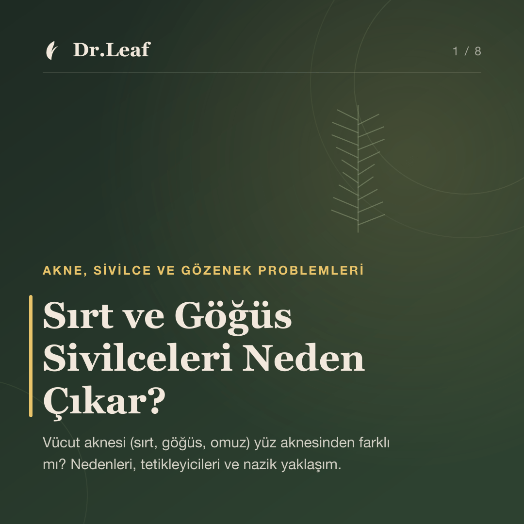 Sırt ve Göğüs Sivilceleri Neden Çıkar? — Dr.Leaf bilgi kartı