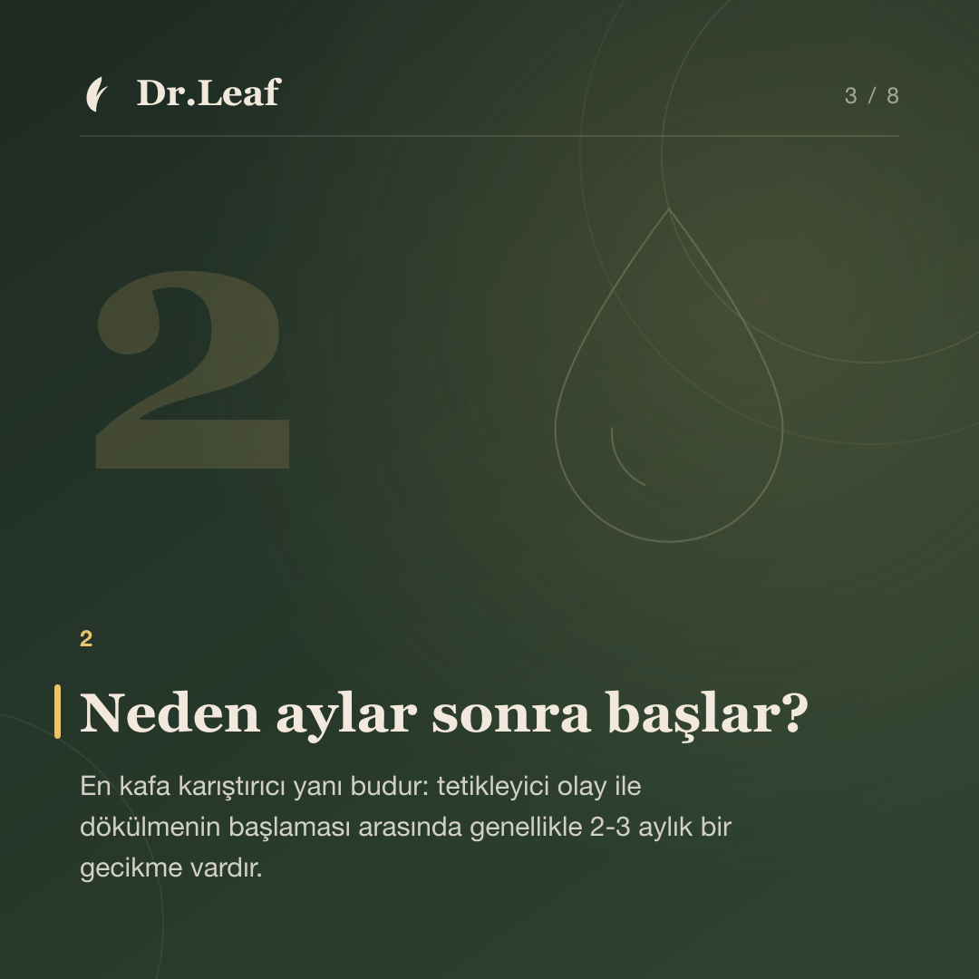 Telogen Effluvium Nedir? Stres ve Şok Sonrası Saç Dökülmesi: Neden aylar sonra başlar? — bilgi kartı 3