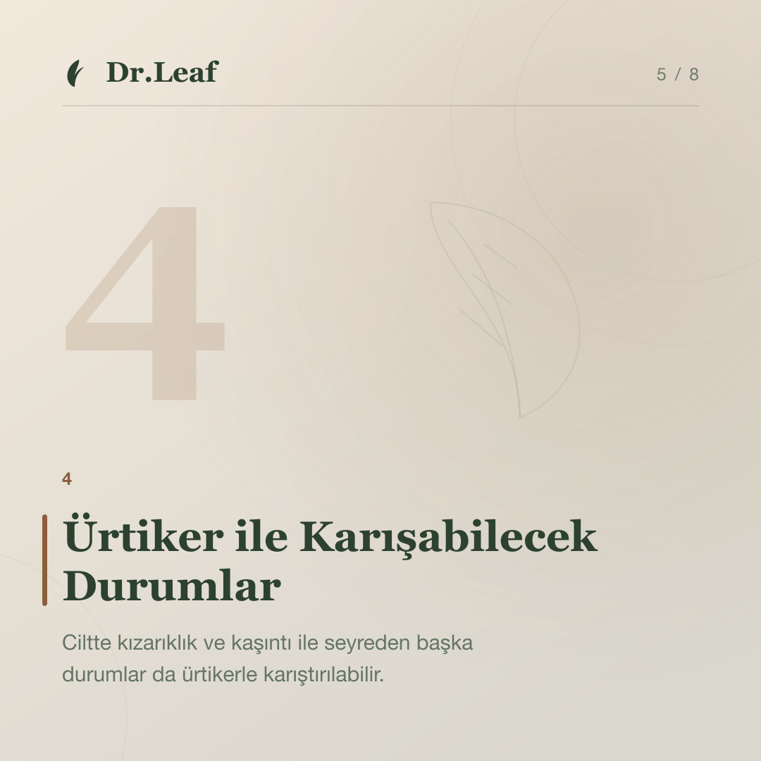 Ürtiker Nedir? Kurdeşen Belirtileri Nelerdir?: Ürtiker ile Karışabilecek Durumlar — bilgi kartı 5