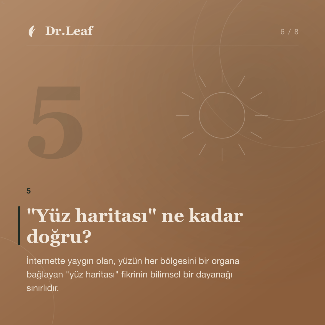 Yüzde Sivilce Neden Çıkar? Bölgesel Sivilcelerin Anlamı: "Yüz haritası" ne kadar doğru? — bilgi kartı 6